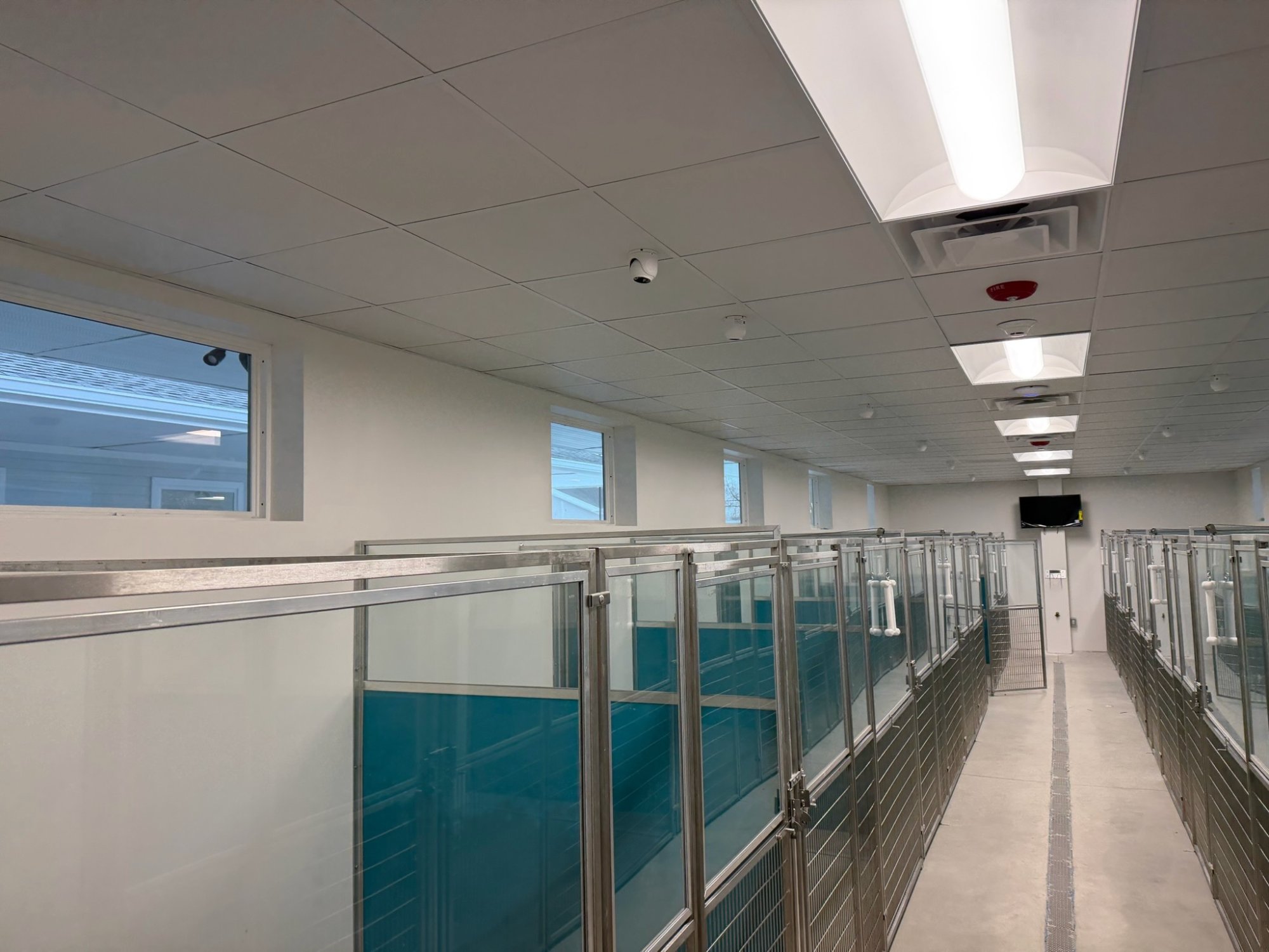 Kennel wing progress