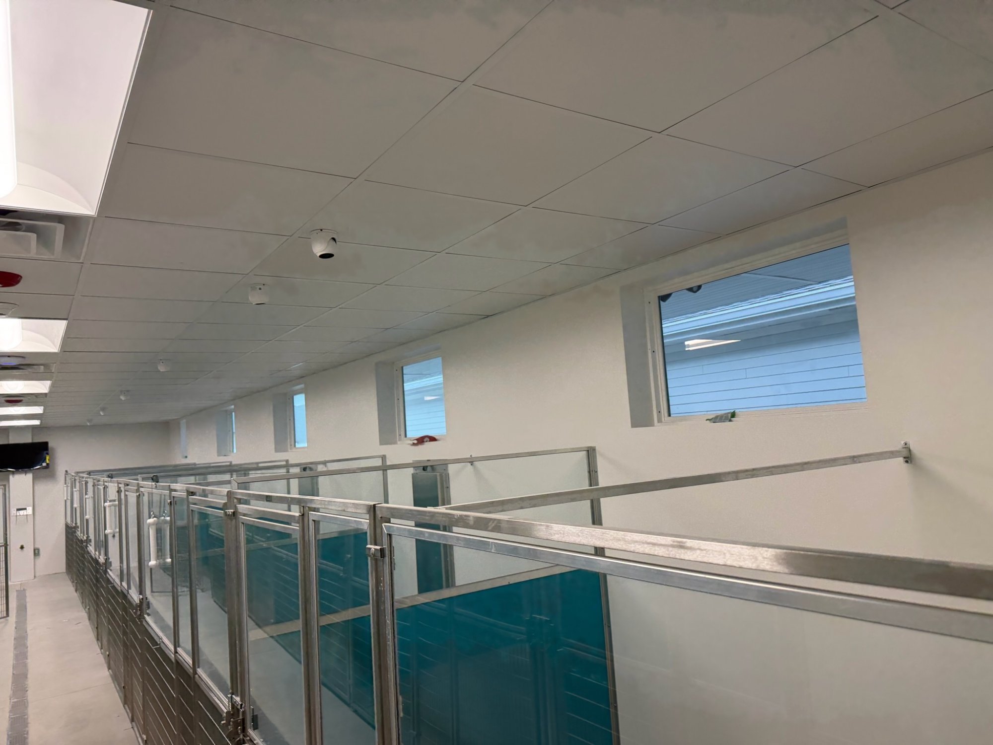 Interior suite progress